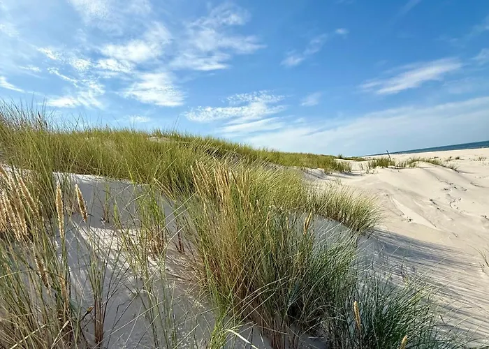 Apartment Roku Leba Nowecin